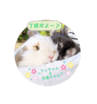michochii 5（個別スタンプ：4）