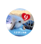 michochii 5（個別スタンプ：8）
