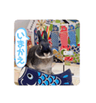 michochii 5（個別スタンプ：11）
