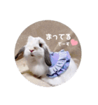 michochii 5（個別スタンプ：18）