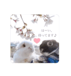 michochii 5（個別スタンプ：19）