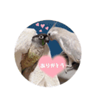 michochii 5（個別スタンプ：23）
