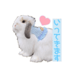 michochii 5（個別スタンプ：27）