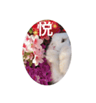 michochii 5（個別スタンプ：36）