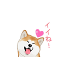 秋田犬（赤毛）（個別スタンプ：5）