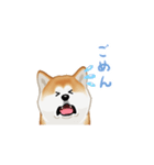 秋田犬（赤毛）（個別スタンプ：15）