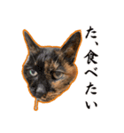 ミロちゃんズ（個別スタンプ：5）