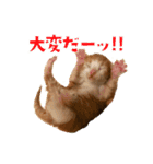 ミロちゃんズ（個別スタンプ：6）