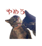 ミロちゃんズ（個別スタンプ：7）