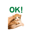 ミロちゃんズ（個別スタンプ：8）