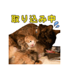 ミロちゃんズ（個別スタンプ：9）