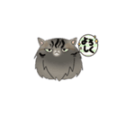 やわ猫2nd（個別スタンプ：4）