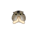 やわ猫2nd（個別スタンプ：10）