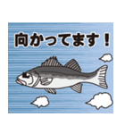 釣り好き！スズキ君（シーバス）（個別スタンプ：3）