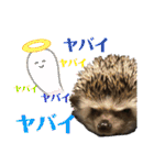 ハリネズミうぶぅの使えるスタンプ（個別スタンプ：34）