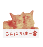 All you need is cats！日本語ver.（個別スタンプ：1）