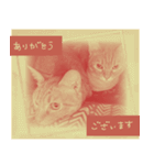 All you need is cats！日本語ver.（個別スタンプ：11）