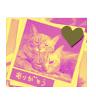 All you need is cats！日本語ver.（個別スタンプ：12）