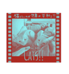 All you need is cats！日本語ver.（個別スタンプ：33）
