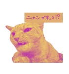 All you need is cats！日本語ver.（個別スタンプ：35）