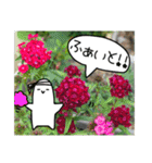 吹き出しくんとお花（個別スタンプ：14）