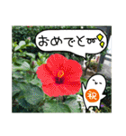 吹き出しくんとお花（個別スタンプ：15）