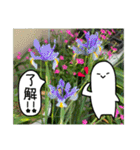 吹き出しくんとお花（個別スタンプ：16）