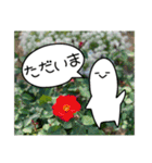 吹き出しくんとお花（個別スタンプ：24）