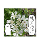 吹き出しくんとお花（個別スタンプ：33）