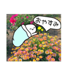 吹き出しくんとお花（個別スタンプ：39）