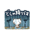 雨の日のねこっち（個別スタンプ：11）