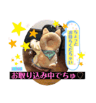 いろぴー♡vol2（個別スタンプ：26）