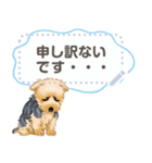 Yorkshire Terrier(dog)-msg2（個別スタンプ：1）