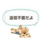 Yorkshire Terrier(dog)-msg2（個別スタンプ：6）