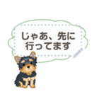 Yorkshire Terrier(dog)-msg2（個別スタンプ：11）