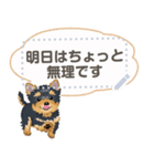 Yorkshire Terrier(dog)-msg2（個別スタンプ：12）