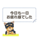 Yorkshire Terrier(dog)-msg2（個別スタンプ：14）