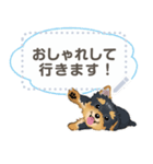 Yorkshire Terrier(dog)-msg2（個別スタンプ：16）