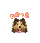 シェルティー(犬) - セーブル（個別スタンプ：3）