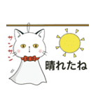 ぽけ猫☆夏•天気編にゃ（個別スタンプ：26）