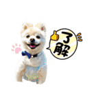 くらたぽてちくん2（個別スタンプ：4）