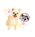 くらたぽてちくん2（個別スタンプ：6）