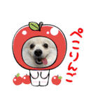 くらたぽてちくん2（個別スタンプ：9）