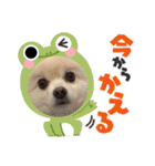 くらたぽてちくん2（個別スタンプ：11）