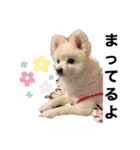 くらたぽてちくん2（個別スタンプ：21）