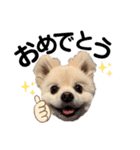 くらたぽてちくん2（個別スタンプ：34）