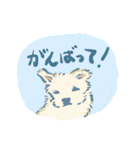 犬いろいろ2（個別スタンプ：7）