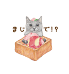 ほっこり猫と食べ物6（個別スタンプ：10）