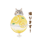 ほっこり猫と食べ物6（個別スタンプ：16）