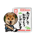 かわいいわんこ達♥（個別スタンプ：6）